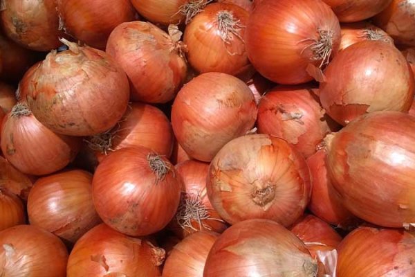 Активная ссылка мега onion mega sbs