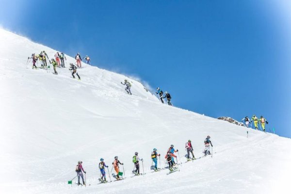 Мега зеркала официальный сайт