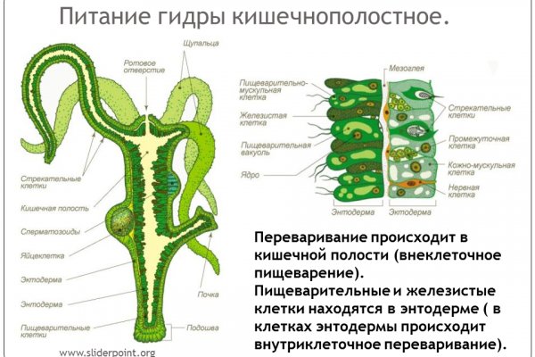 Работает ли мега даркнет